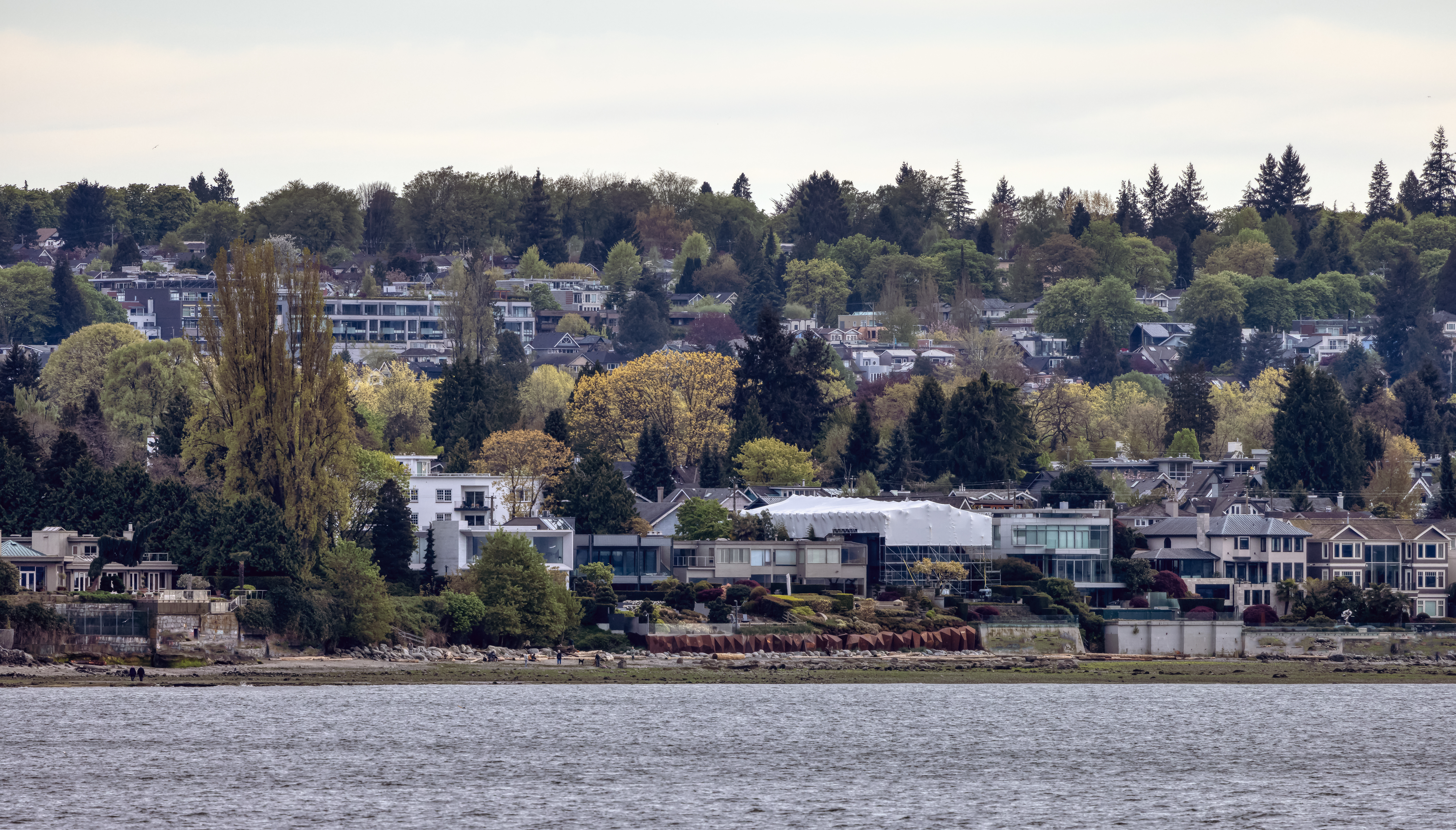 Reliable Immigration DNA Testing in Marysville, WA Immigration DNA Testing in Marysville, WA